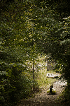Walking to the River.
