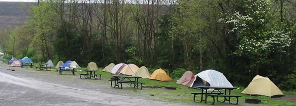 row of tents and picnic tables in campground