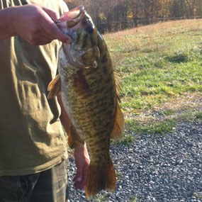 fisherman holding a bass