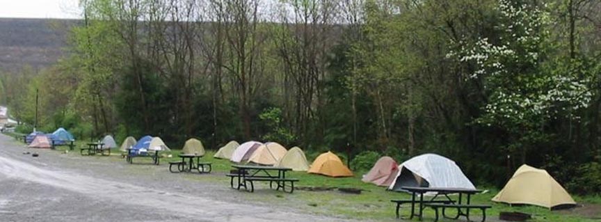 tents in a campground tents in a campground
