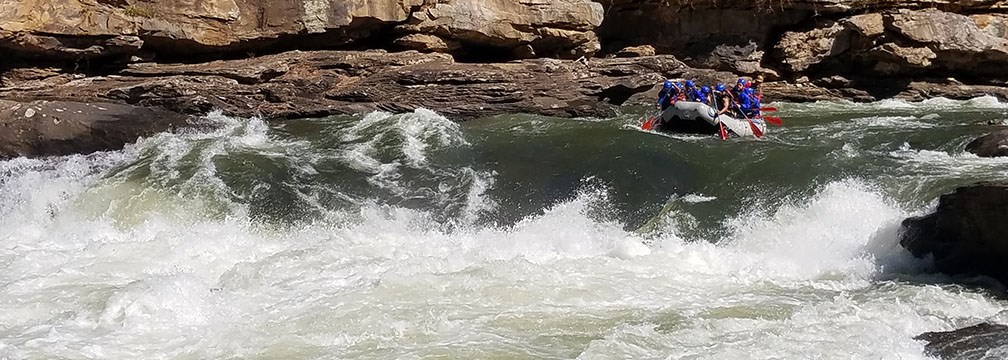 rafters plunge into big whitewater
