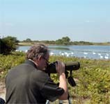 Jamaica Bay, Staten Island and Sandy Hook Units all provide opportunities for taking great photographs.