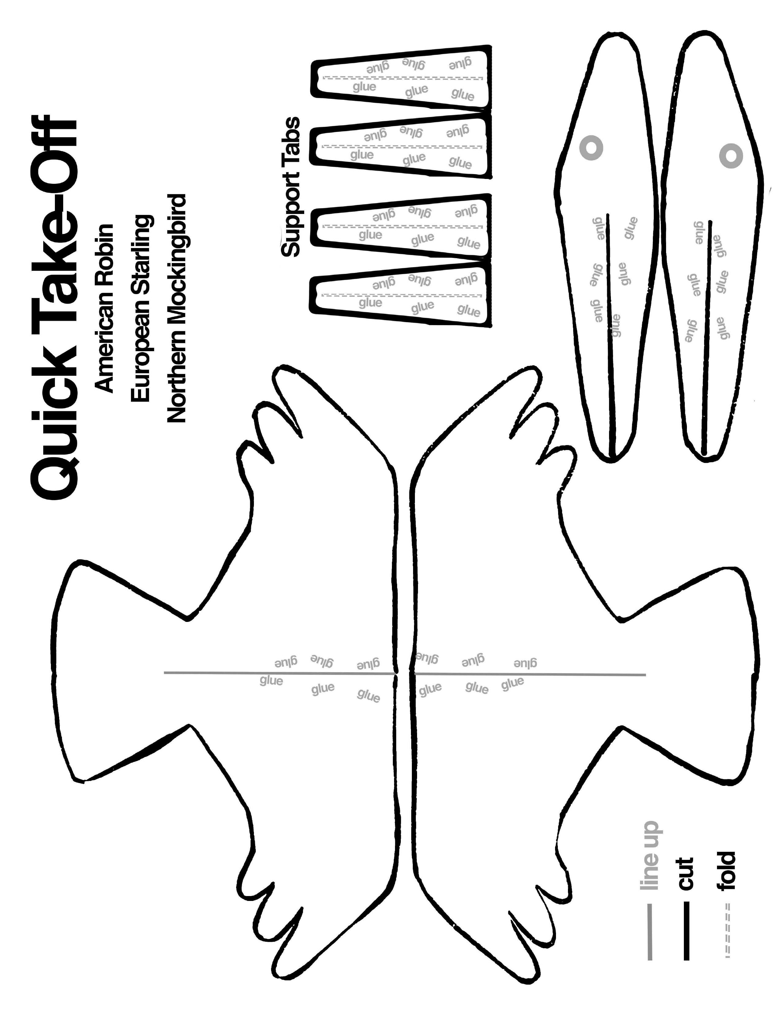 Cut these pieces to create a model of a bird with a quick take off