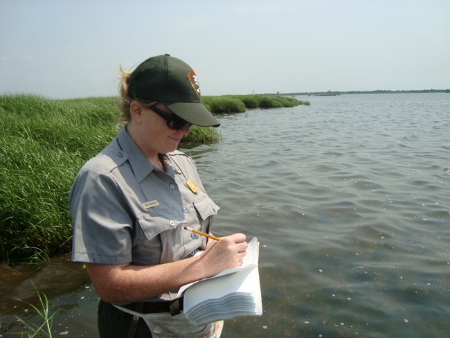 Renay collects data on nekton