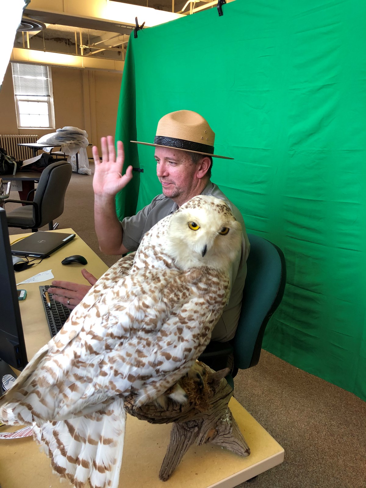 Education specialist in front of computer screen with a taxidermy snowy owl