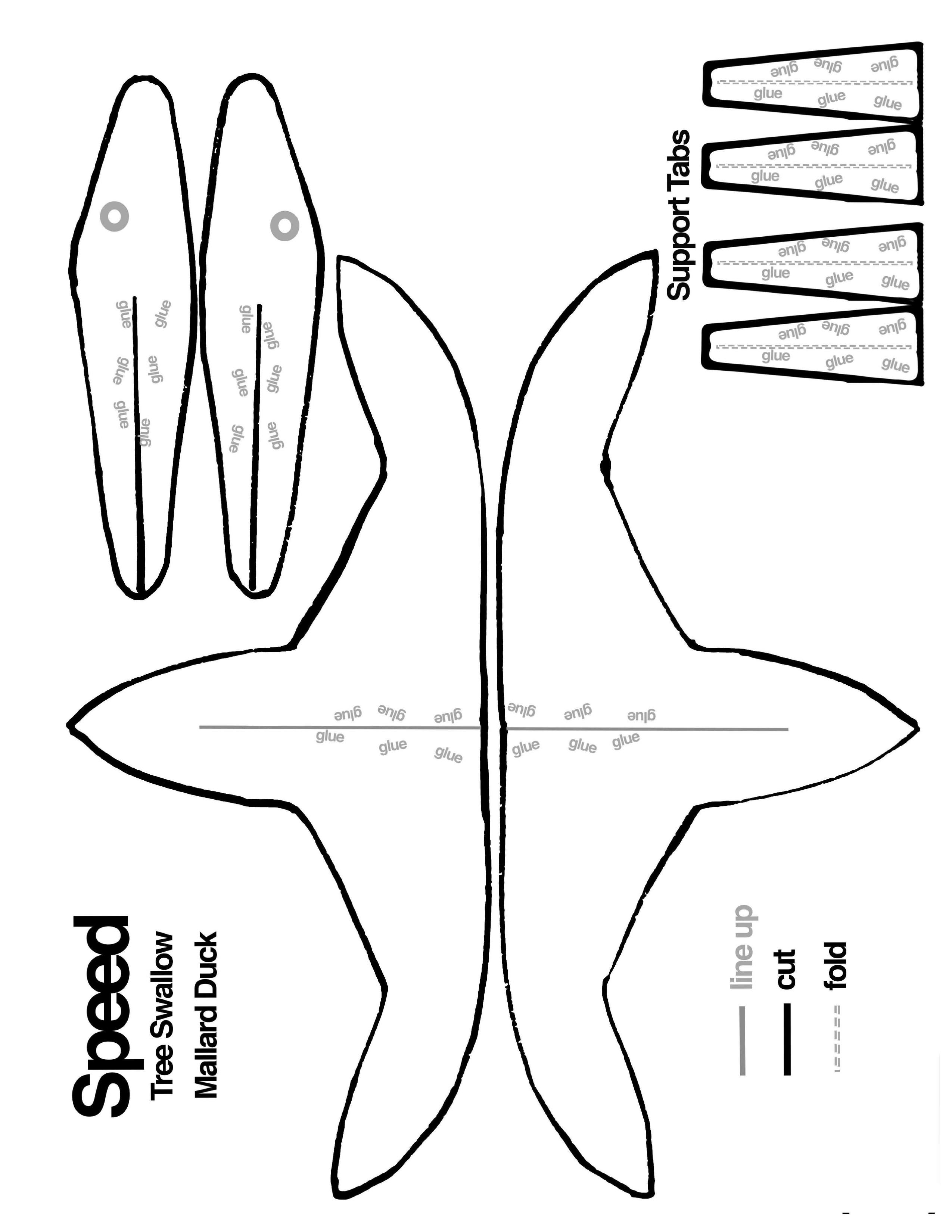 Cut out these pieces to create the model of a bird with speed