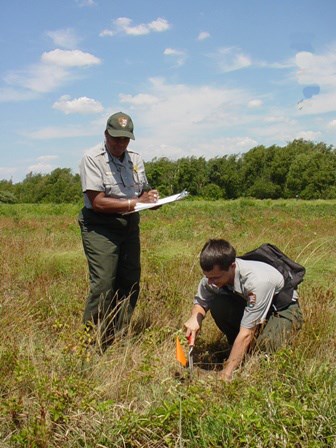 Insect research at Floyd Bennett Field.