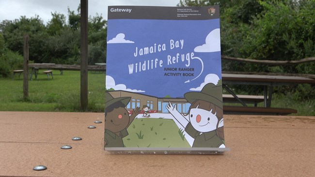 A Jamaica Bay Wildlife Refuge Junior Ranger Activity Book propped up on a picnic table.