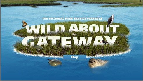 Wild about Gateway Tee shirt pic Wild about Gateway Tee shirt pic