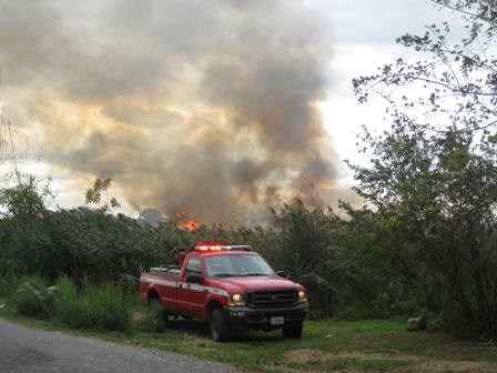 The blaze burned 145 acres of the park. The blaze burned 145 acres of the park.