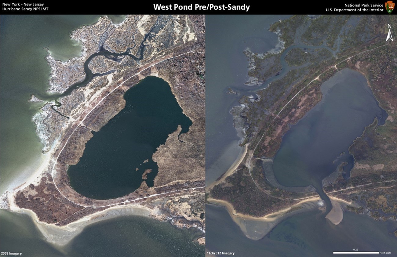 a map of Jamaica Bay's West Pond before and after Hurricane Sandy