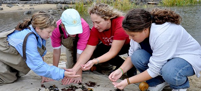 New Jersey Sea Grant Consortium offers hands-on, curriculum-based education programs at Sandy Hook. New Jersey Sea Grant Consortium offers hands-on, curriculum-based education programs at Sandy Hook.