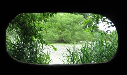 A glimpse from the viewing shed at Return-a-Gift Pond, Floyd Bennett Field.