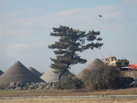 Pyramids of sifted sand await replacement on the beach at Jacob Riis Park.