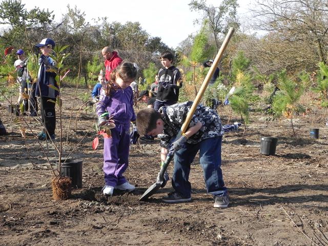 Over 400 volunteers signed up to plant trees in Brooklyn's Floyd Bennett Field on Saturday, October 27.