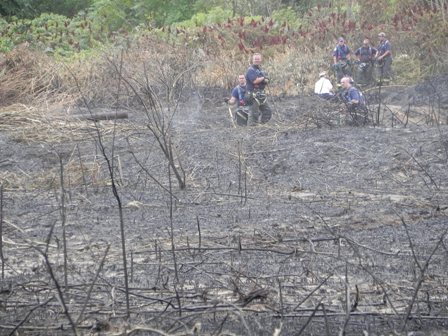 FDNY checks for hot spots after extinguishing the fires at Great Kills Park.