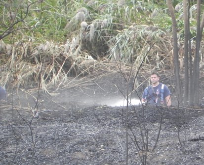 In October 2010, a wildland fire in Great Kills Park burned over 100 acres.