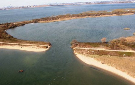 The breach in West Pond has changed the water from fresh to brackish.