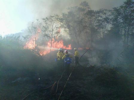 NPS personnel fight fire at Great Kills Park.