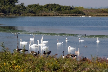 Jamaica Bay Wildlife Refuge, part of Gateway National Recreation Area.