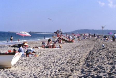 Be green this summer, take the ferry and use the shuttle to get to and around Sandy Hook.