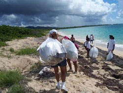 Join us for the International Ocean's Cleanup the weekend of September 20-12, 2008. Join us for the International Ocean's Cleanup the weekend of September 20-12, 2008.
