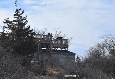 Hidden in a wooded area, the Observation Deck allows visitors to take a good long look at Sandy Hook wildlife. NPS PHOTO