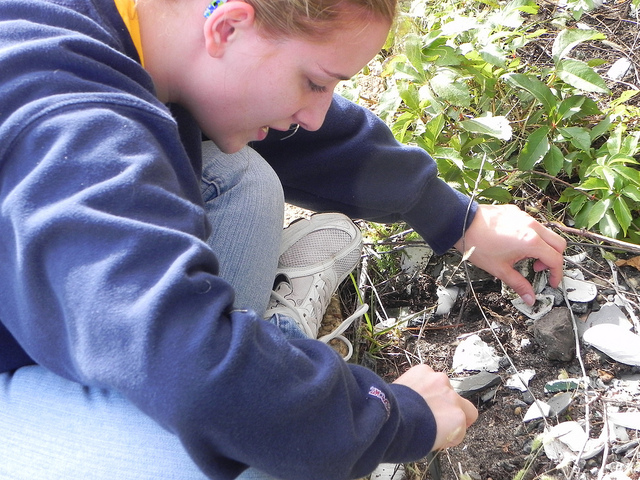 Georgian Court University student Rebeccah McGettigan looks under rocks and shells for insects to index in the total number of species cataloged to date during BioBlitz 2011 at Gateway's Sandy Hook Unit.