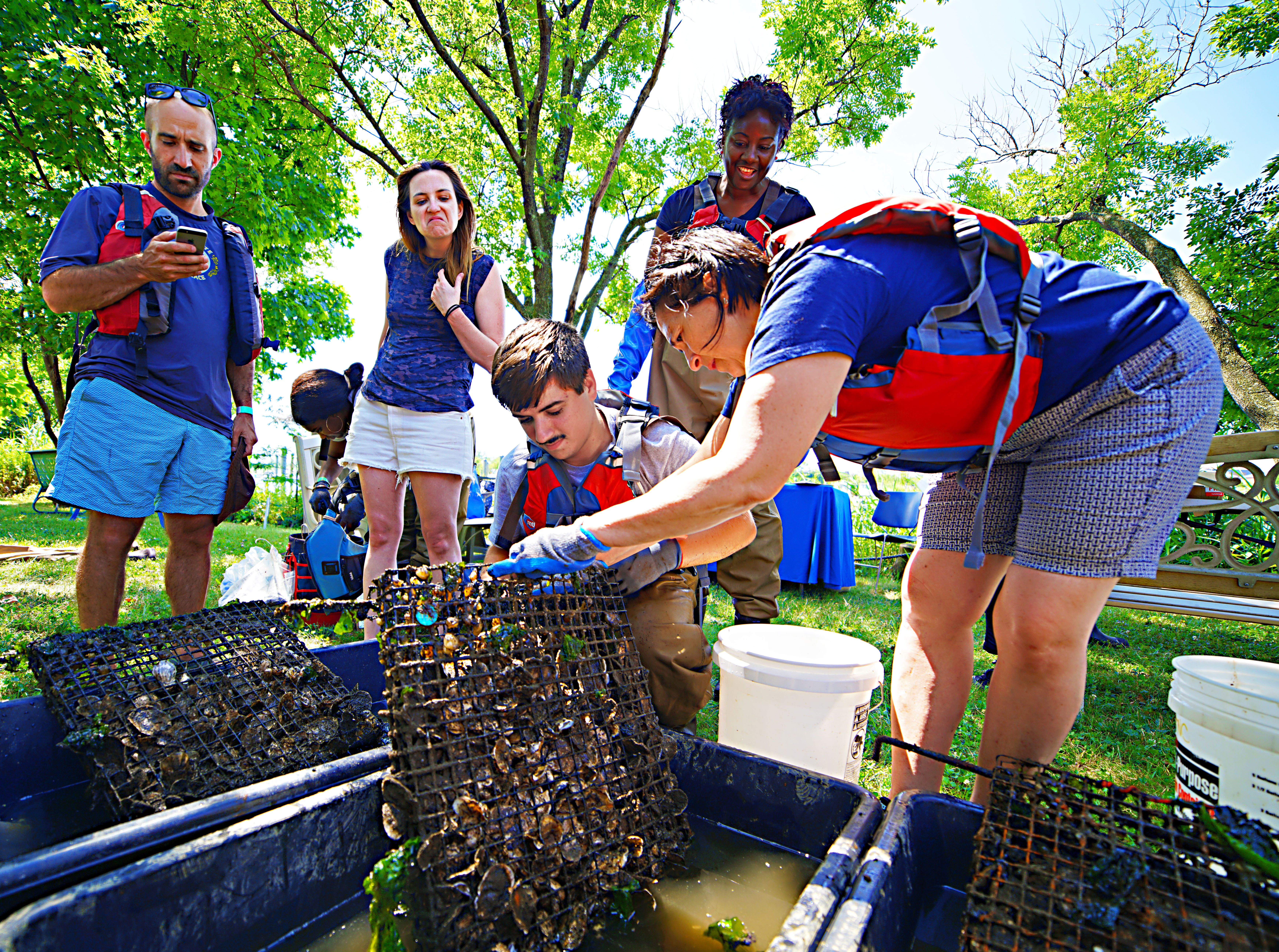 Oyster Frames at the "I Love My Park Day" 2019 visitors observing oysters