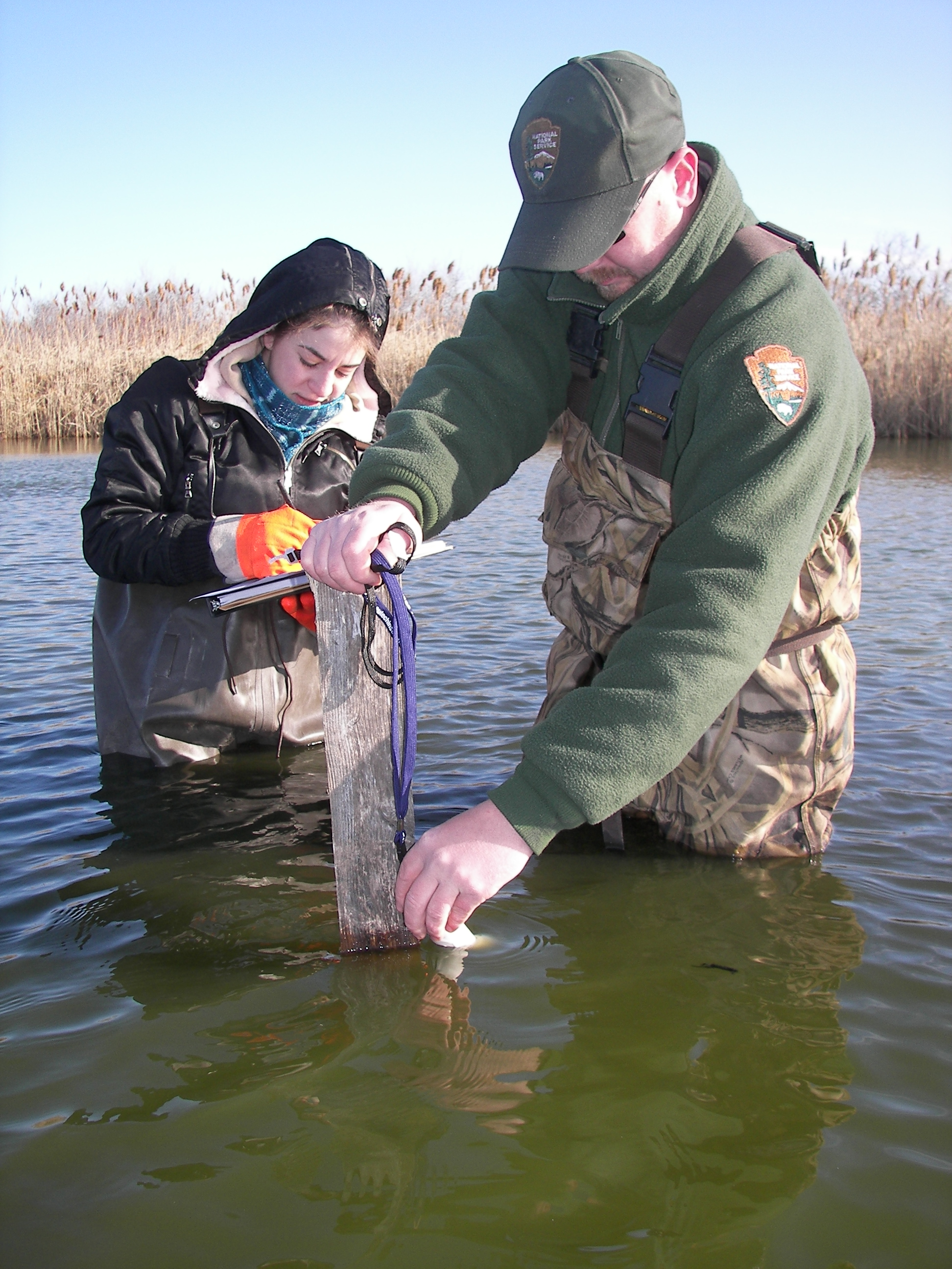 Interns gain valuable work experience while assisting park staff perform important tasks.