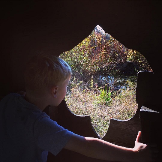 A young boy views a pond at the Jamaica Bay Wildlife Refuge from a bird blind. A young boy views a pond at the Jamaica Bay Wildlife Refuge from a bird blind.