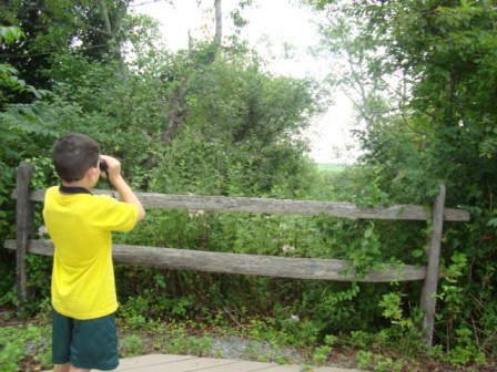 Kids love to go bird watching and Jamaica Bay is a great place to test their observation skills.