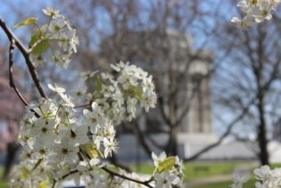 IMG_0710