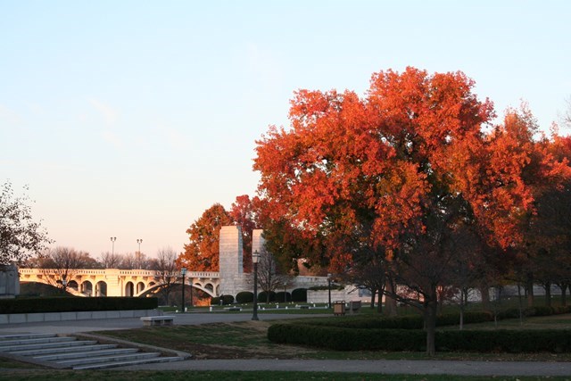 IMG_1670 IMG_1670