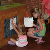 Junior rangers hard at work on completing their forms.