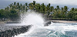 Aqua blue waters crash against a rock wall with palm trees in the background