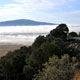 Capulin Volcano