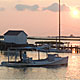 Tangier Island (photo: Starke Jett)