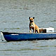 canoeist with dog