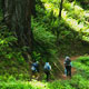 hikers in the forest