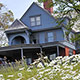 three story blue house with daisies in foreground