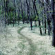 along the Appalachian trail