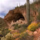 cacti and flowering plants surrounding cliff dwelling
