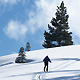 solitary skier