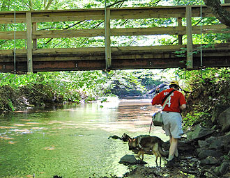 image of park visitor walking dog along creek
