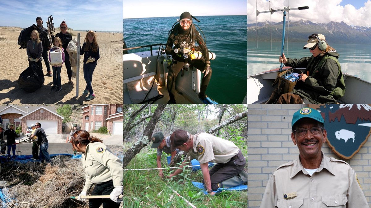 collage of six images showing different volunteer opportunities from diving, to collecting trash, to using testing  instruments