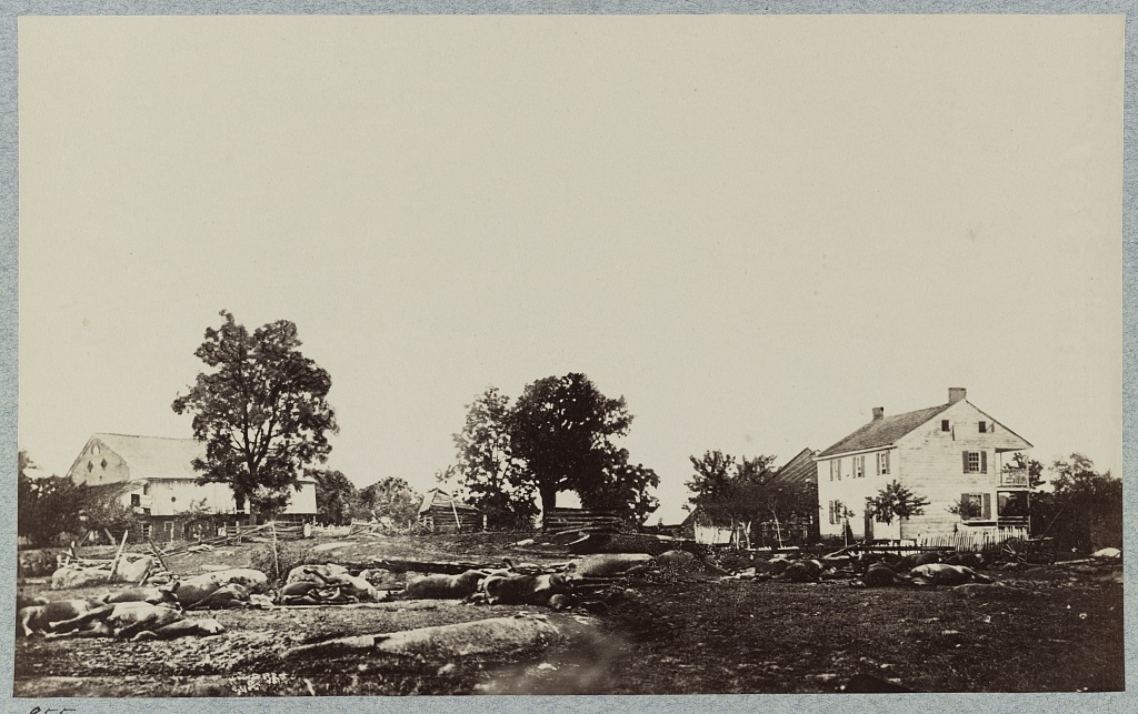 Photograph showing the aftermath of battle near the Trostle Farm at Gettysburg. There is physical damage to the house and barn and numerous dead horses shown in the photograph.