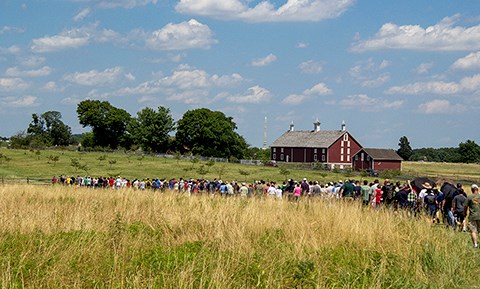 A large group of visitors walk across a field of tall grass from right to left. A red barn is in the distance.