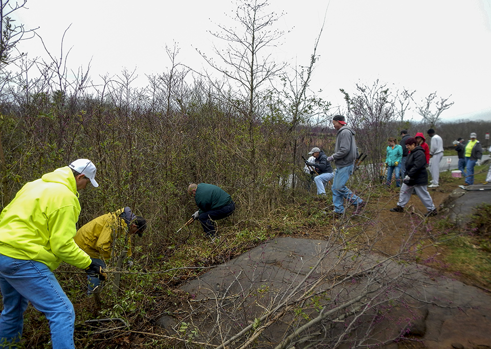 Volunteers help to clear brush around Devil's Den.