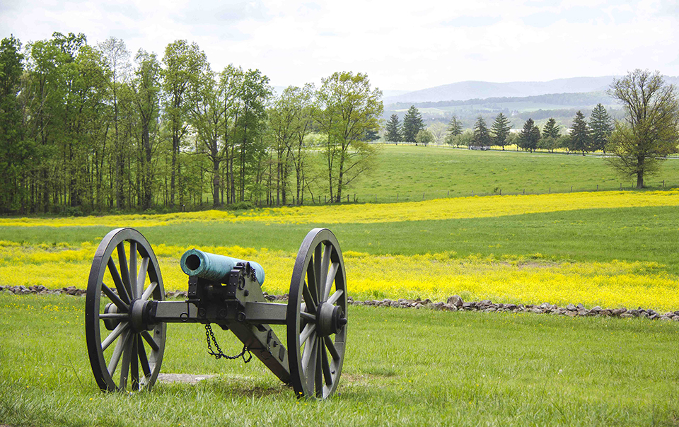 A cannon sits in a green grass field in the lower left side of the picture. Behind it is a low stone wall and yellow flowers and trees in the distance.